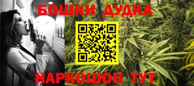 гидра Обь