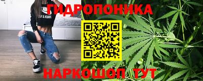гидра Обь