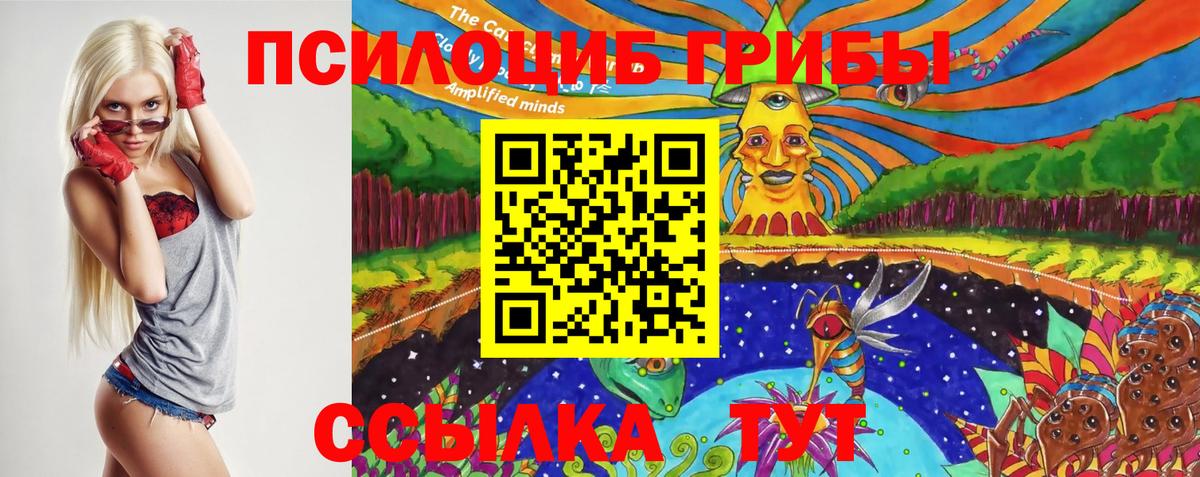 Галлюциногенные грибы Psilocybe Стрежевой