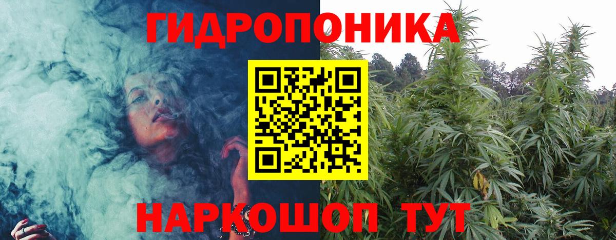 Бошки Шишки конопля Стрежевой